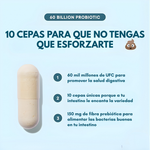 60 BILLIONS PROBIOTICS – Equilibrio intestinal, digestión diaria y bienestar desde el interior