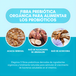 60 BILLIONS PROBIOTICS – Equilibrio intestinal, digestión diaria y bienestar desde el interior